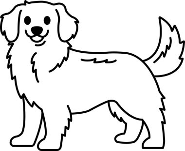 Siyah ve beyaz, Golden Retriever köpeğinin resimlerini izole eder.