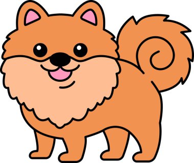 Pomeranya köpeğinin resimlerini ayır