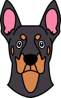 Bir Doberman Pinscher köpeğinin resimlerini ayır