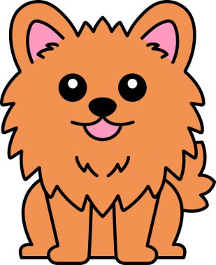 Bir Pomeranian simgesini izole et