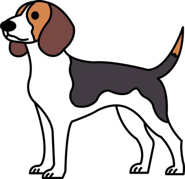 Beagle köpeğinin çizimi