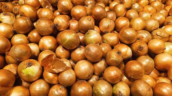Pazarda sergilenen büyük bir yığın taze, altın soğan. Yemek pişirmek ve çeşitli yemeklere tat katmak için mükemmel. Soğanlar son derece besleyici sebzelerdir ve birçok sağlık yararları olan yemek pişirme yemekleri için çeşitli faydaları ve çok yönlü olabilirler..