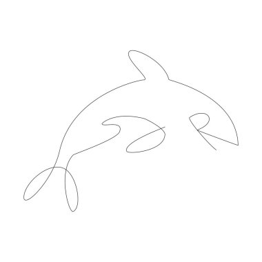 illustration of an orca (also known as a killer whale)