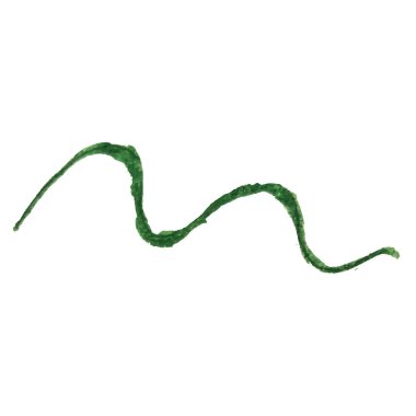 Güzel ipomoea sabah zaferi, ipomoea yapraklı bir çiçeğe tecavüz ediyor. Beyaz arka planda izole edilmiş pembe ve leylak çiçeği. Suluboya resim. El boyaması botanik illüstrasyon