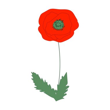 Çizgili gelincik çiçeği çizimi. Vektör