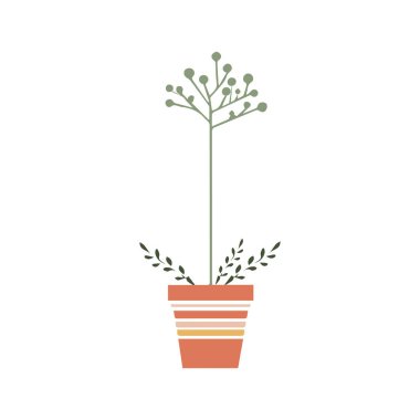 Çizgi film düz stiliyle vektör illüstrasyonu. Büyük doğal bitki. Esrar bitkisi. Ev ve ofis için güzel moda dekoratif bitkiler.