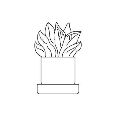 Bir ev bitkisinin basit bir çizimi. Bu sadece siyah çizgilerle çizilmiş bir saksı bitkisinin çizimi..