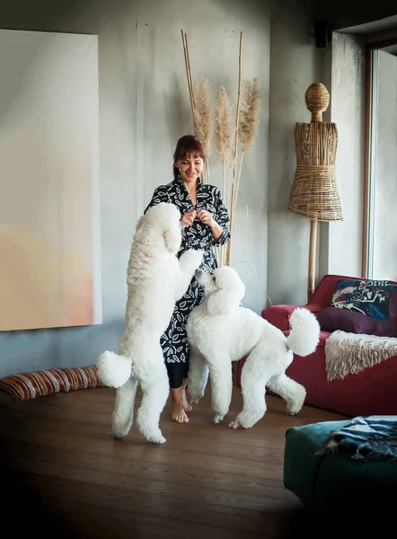Сучасна Сучасна Жінка Брюнетка Сукні Двома Білими Собаками Затишній Квартирі — стокове фото