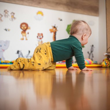 Sevimli erkek bebek evde sürünüyor, dünyayı keşfediyor ve etrafındaki şeyleri keşfediyor. Aşk ve aile duyguları