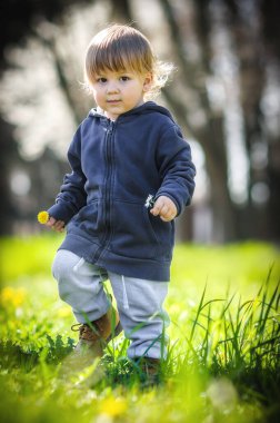 Mutlu küçük sarışın çocuk yeşil bir tarlada renkli çiçekleri kokluyor. Doğayı keşfeden tatlı çocuk. Yakın plan.