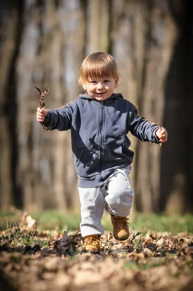 Παιδικά Φθινοπωρινή Περιπέτεια Περίεργο Παιδί Σκύβει Ανάμεσα Πεσμένα Φύλλα Ανακαλύπτοντας Εικόνα Αρχείου