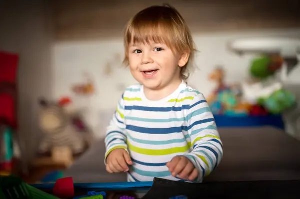 Χαριτωμένο Αγοράκι Που Παίζει Πολύχρωμα Παιχνίδια Του Στο Σαλόνι Παιδεία Εικόνα Αρχείου