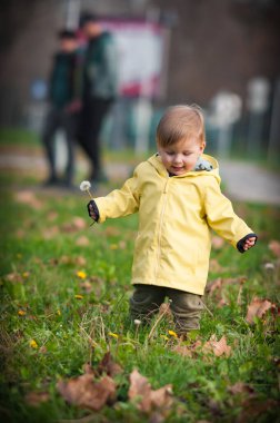 A small child in a bright yellow raincoat happily plays in a lush green park, joyfully holding a dandelion while dandelions and autumn leaves surround them. clipart