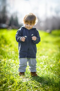 Genç bir çocuk canlı yeşil bir tarlayı keşfeder, narin papatyaları tutarken anın tadını çıkarır, güneşli bir günün sıcaklığında güneşlenir..