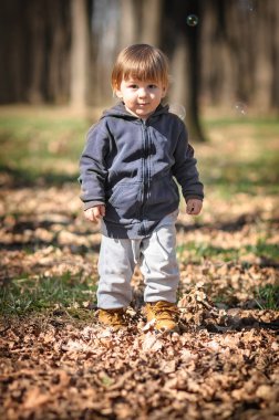 Neşeli bir çocuk düşmüş yapraklardan bir halının ortasında duruyor, sıcak bir kapüşonlu ve neşeli botları var. Güneş ışığı ağaçların arasından süzülerek, keşif için mükemmel sakin bir atmosfer yaratır..