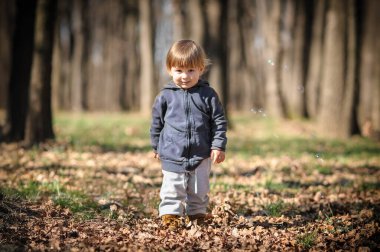 Güneşle ıslanmış ormandaki ağaçlarla çevrili düşen yaprakların arasında küçük bir çocuk duruyor. Doğanın güzelliğini keşfederken masum sevinçleri yayılıyor..
