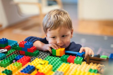 Genç bir çocuk dikkatli bir şekilde canlı yapı taşlarıyla inşa etmeye odaklanır. Oyuncu ortam çeşitli renk ve şekillerle dolu, hayal gücünü ve yaratıcılığı teşvik ediyor..