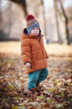 Genç bir çocuk, parlak sonbahar yapraklarıyla kaplı, kalın bir ceket ve şapka giymiş, serin havanın ve doğanın güzelliğinin tadını çıkararak parkta yürüyor..