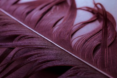 bird magpies feather, background or teksture