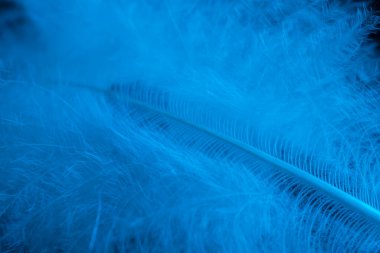 Kuş kafesi karanlıkta düşüyor.