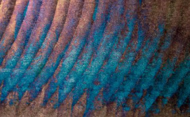 Oksitlenmiş bakır, soyut sanatsal arkaplan