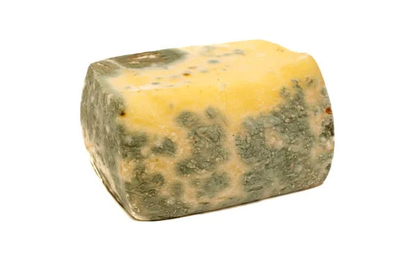 Ripening Yellow Cheese Mold Covered Cheese Spoiled Cheese — Stock Photo, Image
