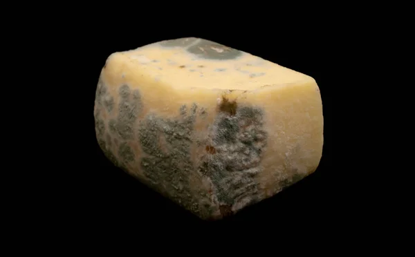Reifender Gelber Käse Schimmelbedeckter Käse Verdorbener Käse — Stockfoto