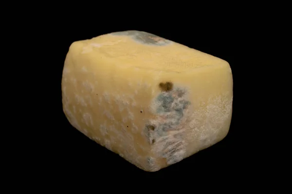 Reifender Gelber Käse Schimmelbedeckter Käse Verdorbener Käse — Stockfoto