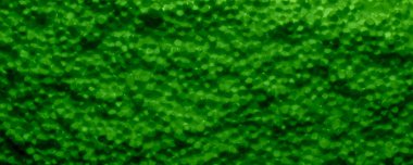 styrofoam arkaplan ve teksture, makro fotoğraf