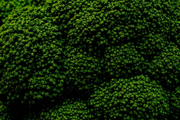 Háttér Textúra Brokkoli Zöldségek — Stock Fotó
