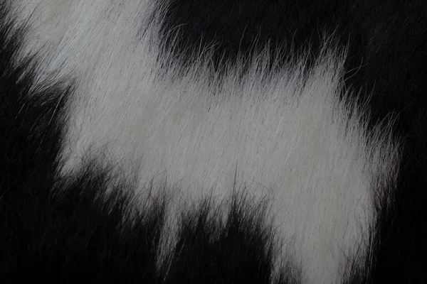 Пятнистая Кожа Коровы Фон Текстура — стоковое фото