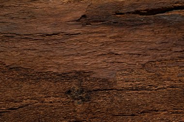 kavak kabuğu, arkaplan veya doku