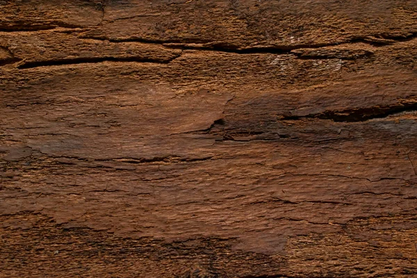 stock image poplar bark, background or texture