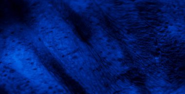 muz kabuğu arkaplanı farklı ışıkta