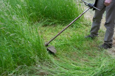 Bir fırça kesiciyle uzun otları biçiyor.