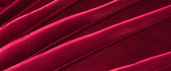 Foto Macro Del Piccione Piuma Rossa Texture Sfondo — Foto Stock