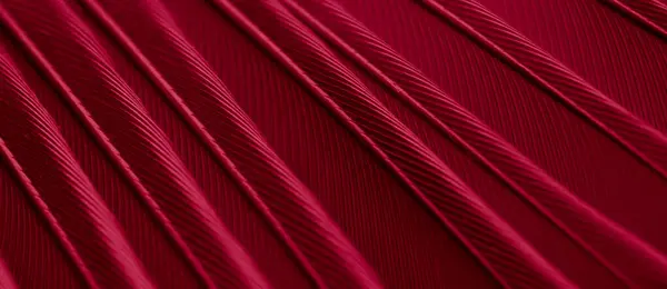 Feather Tit Macro Photo Texture Background — Fotografia de Stock