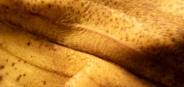 バナナの皮の背景が違う — ストック写真