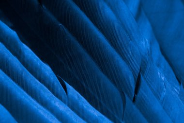 Kuş tüyü makro fotoğraf. doku veya arkaplan