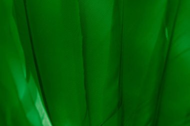 Kuş tüyü makro fotoğraf. doku veya arkaplan