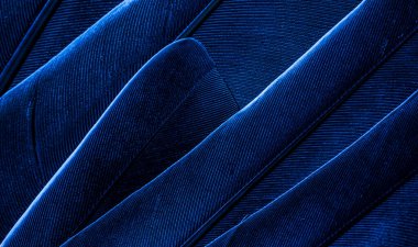 Mavi tüylü güvercin makro fotoğrafı. doku veya arkaplan