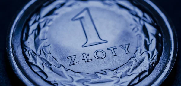 Satu Koin Zloty Polandia Mata Uang Nasional Polandia Stok Gambar