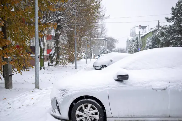 Musim Dingin Kota Jalan Jalan Dan Mobil Ditutupi Dengan Salju Stok Lukisan  