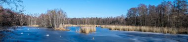 Açık bir günde, ormanda donmuş bir göl, panorama.