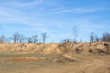Kum tepelerindeki kuru ağaç gökyüzüne karşı