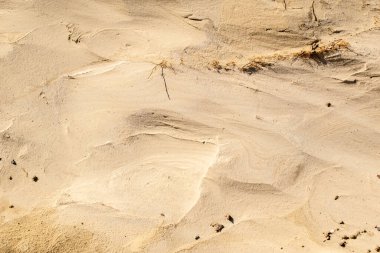 Rüzgar tarafından dalgalanan çöl kumları.