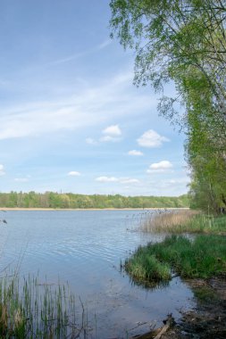 Güneşli bir bahar gününde Rogoznik Gölü