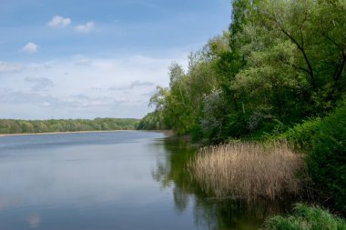 Güneşli bir bahar gününde Rogoznik Gölü