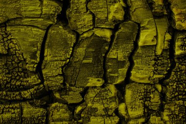 Güneşli bir bahar gününde Rogoznik Gölü