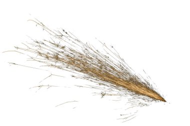 Işık çizgileri. Karanlıkta kıvılcımlar